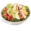 Salads recipes icon