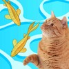 Games for Cat－Toy Mouse & Fish icon