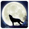 Wolf Howl icon