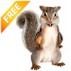 Real Talking Squirrel icon