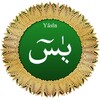 Yasin Suresi Ezber icon