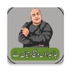 Funny Urdu Stickers for Whatsa icon