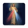 The Divine Mercy Chaplet icon