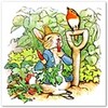 The Tale Of Peter Rabbit icon