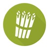 Asparagus icon