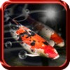 أيقونة Koi Fish Live Wallpaper