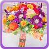 Wedding Bouquet Gallery icon