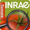 Icono de Di@gnoPlant Tomate