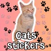 Cats Stickers icon