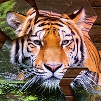 Hexa Jigsaw Puzzle For Android Download The Apk From Uptodown