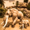 Ultimate Elephant Simulator icon