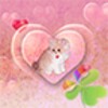 Go Launcher EX Theme Kitty icon