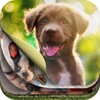 Icono de Lovely Puppy Puzzle Kit & Wallpapers