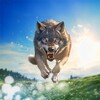 ไอคอน Wolf Hunting Simulator
