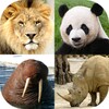 Icono de Animals Quiz Learn All Mammals