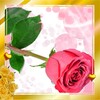 Love Roses HD live wallpaper icon