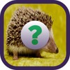 Animal Quiz Game icon