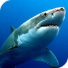 Sharks Live Wallpaper icon