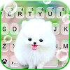 Fluffy Cute Dog icon