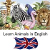 Biểu tượng Learn Animal Names in English