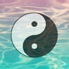 Yin Yang Wallpapers icon