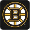 Bruins icon