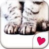 Cat Hands[Homee ThemePack] icon