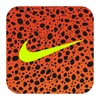 Nike icon