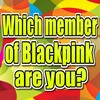 Blackpink Quizz icon