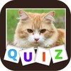 Animal Quiz 아이콘