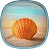 Sea Shell Live Wallpaper HD icon