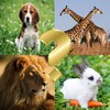 Ícone de Guess the animals