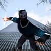 Panther hero fighting 2020- kung fu fighting hero icon