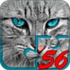 Big puzzles with cats icon