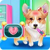 Cute Corgis Caring and Dressup icon