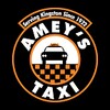 Amey's Taxi icon