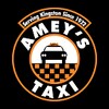 Icône Amey's Taxi