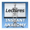 Icône Anatomy Lectures