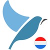 Icono de Bluebird Dutch