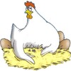 Falling Eggs icon