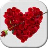 Valentines Day Live Wallpaper icon