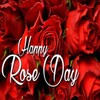 Happy Rose Day:Greeting, Photo icon