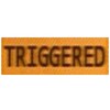 Triggered icon