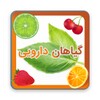 خواص گیاهان دارویی و میوه ها icon