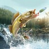 Professional Fishing 2 图标