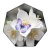 White Flowers Wallpaper Live icon