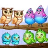 Color Bird Sort - Puzzle Games icon