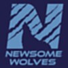 Newsome HS icon