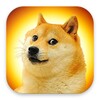 Cute Dog Stickers for WhatsApp icon