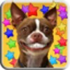 Dog Smiles Live Wallpaper icon